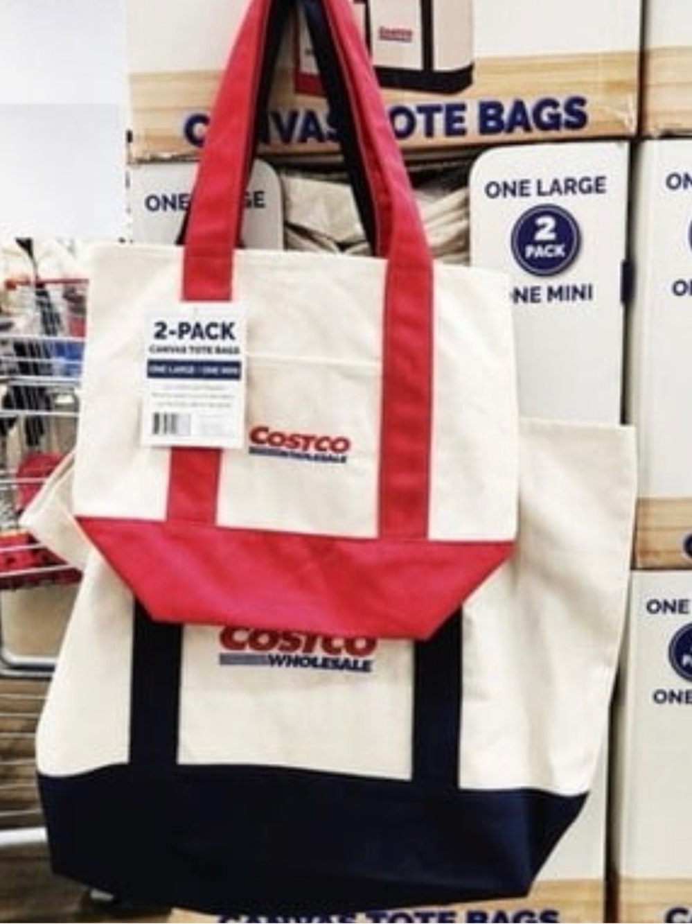 COSTCO Canvas Tote Bag Set- 1 Large 1 Mini